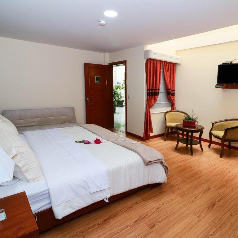 Hotel Boutique Castilla de Léon - Habitación con cama grande - 7
