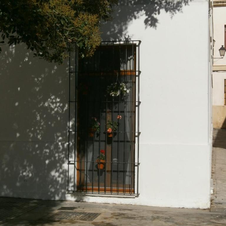 Casa en Plaza de la Merced_Centro Flamenco_Cádiz - Apartamento - 28