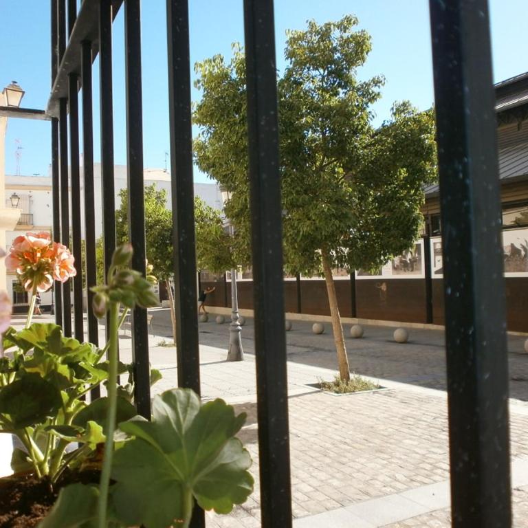 Casa en Plaza de la Merced_Centro Flamenco_Cádiz - Apartamento - 27