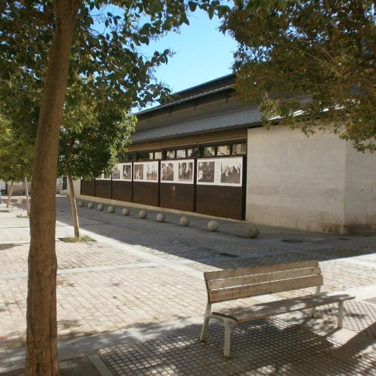 Casa en Plaza de la Merced_Centro Flamenco_Cádiz - Apartamento - 29