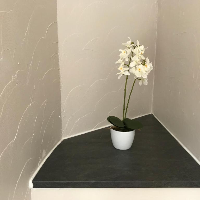 Lumineux T2 Vieille ville 3 pers parking gratuit - by La Source d'OrFée - Appartement - 12