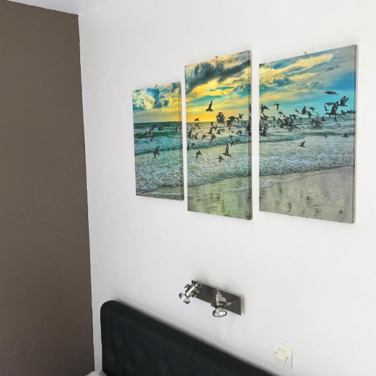 Lumineux T2 Vieille ville 3 pers parking gratuit - by La Source d'OrFée - Appartement - 6