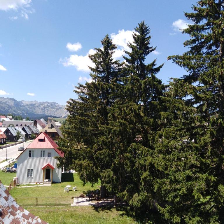 Apartments Durmitor - Apartment with Terrace - 22