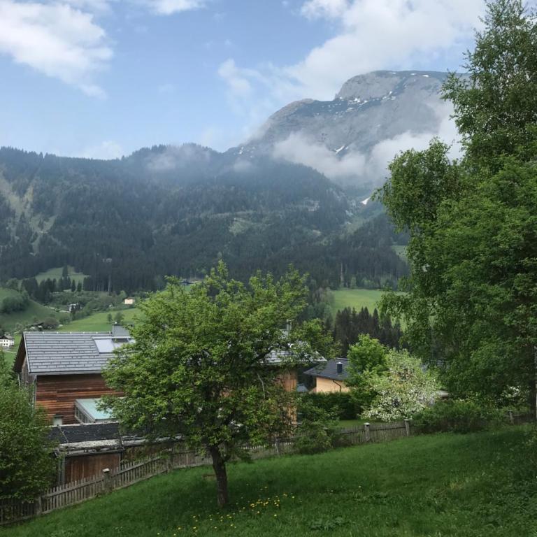 Steuer 59 App 5 - Appartement avec Vue sur la Montagne - 8