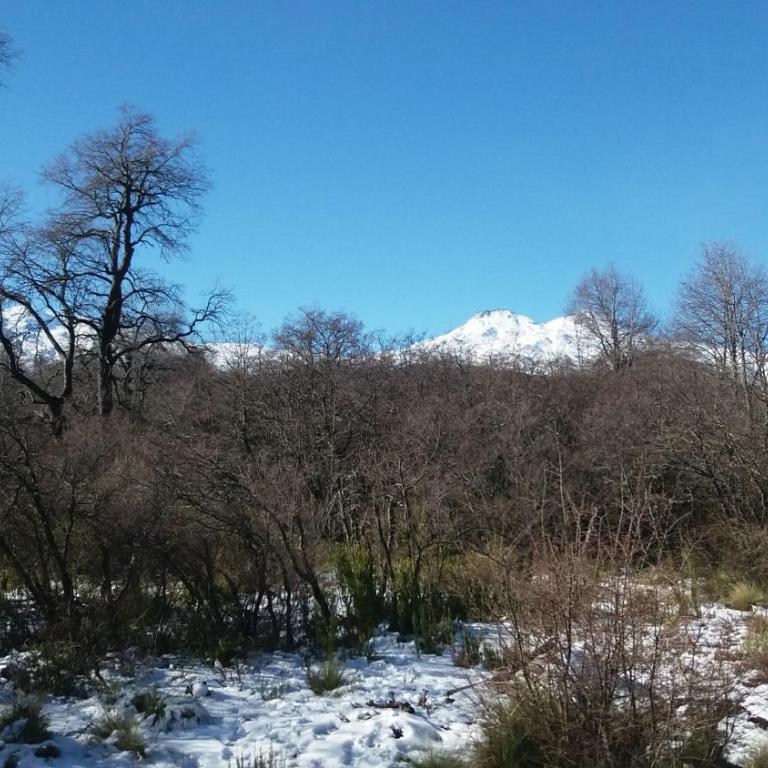 La Ruta de Los Volcanes - Las Trancas Chillán - Chalet de 3 dormitorios - 32