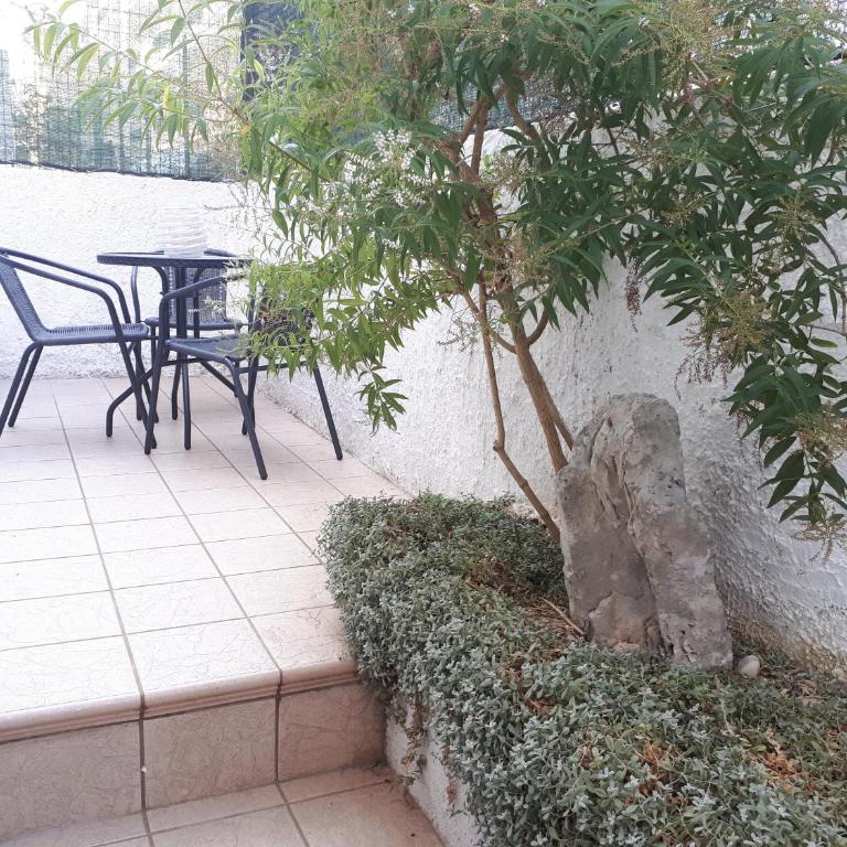 Rental House in Cisternino - Appartamento - 1