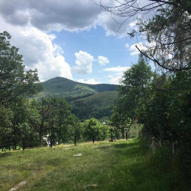 Vikendica na Zlatiboru - Koliba sa 2 Spavaće Sobe - 15