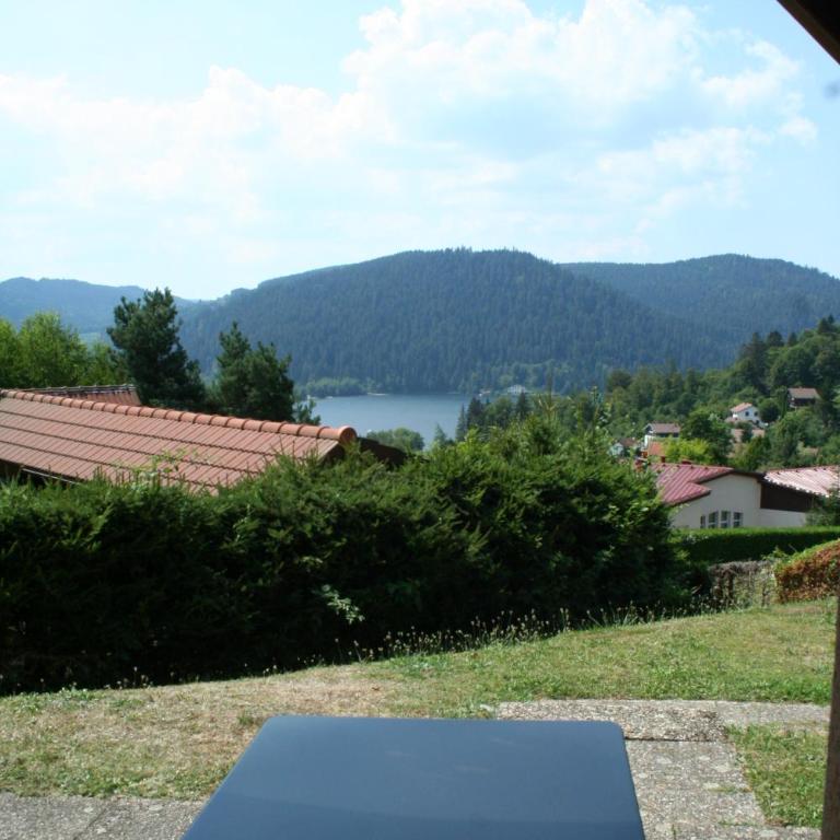 Esprit Myrtille Terrasse Vue Lac - Appartement - 26