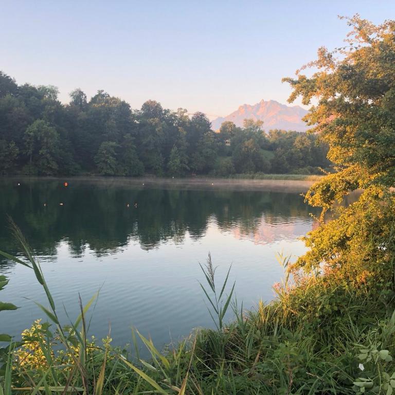Charming Studio near Rotsee Lucerne Kitchen, WiFi, Washing machine - Apartment - 13