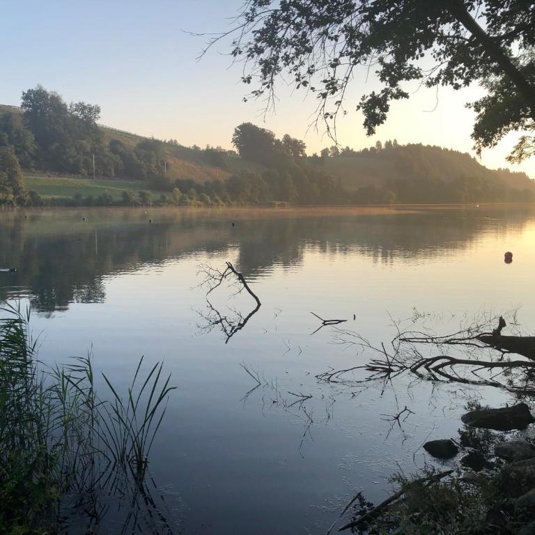 Charming Studio near Rotsee Lucerne Kitchen, WiFi, Washing machine - Apartment - 14