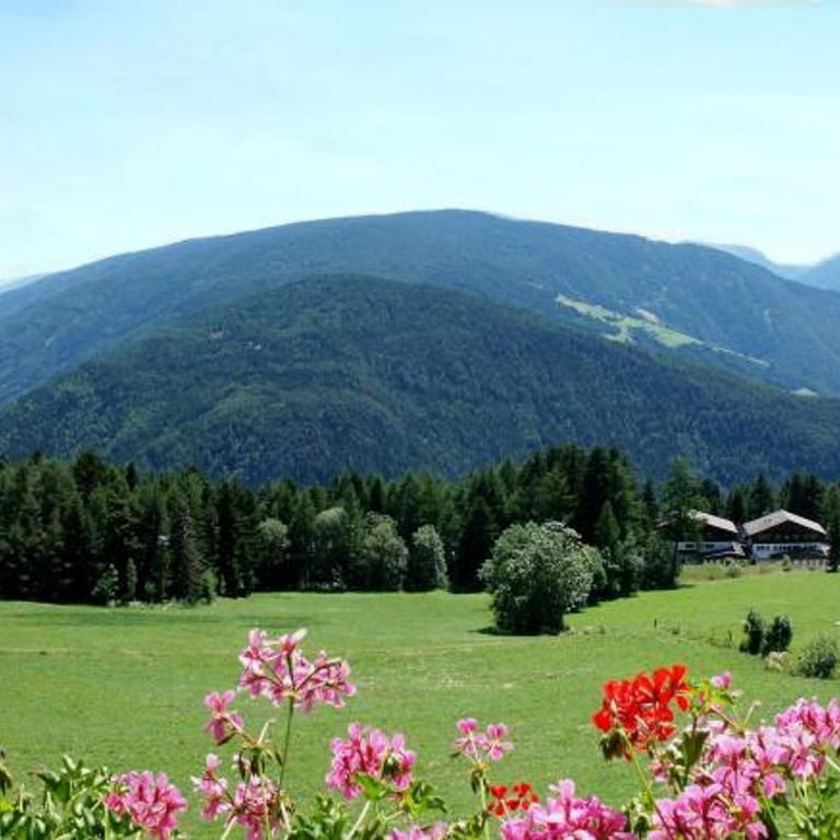 Pension Wiesenrain - Doppelzimmer mit Bergblick - 6
