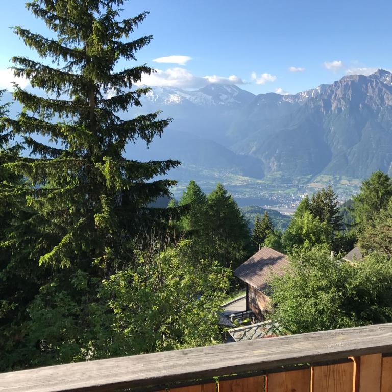 Tschuggen 70 - Chalet 3 Chambres - 43