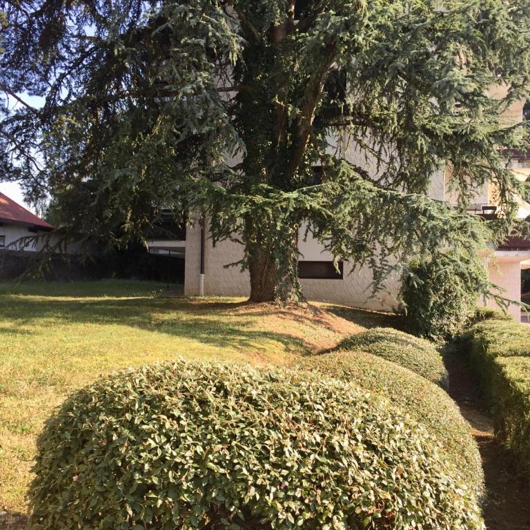 Parenthèse au Calme Proche Genève avec Parking - Appartement - 37