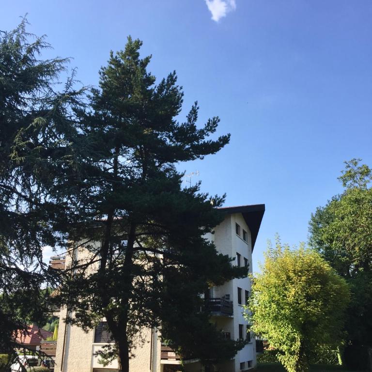 Parenthèse au Calme Proche Genève avec Parking - Appartement - 36