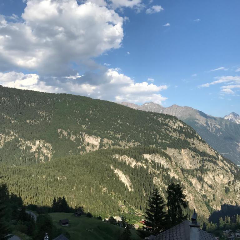 Tschuggen 75 - Chalet con 3 Camere da Letto - 11