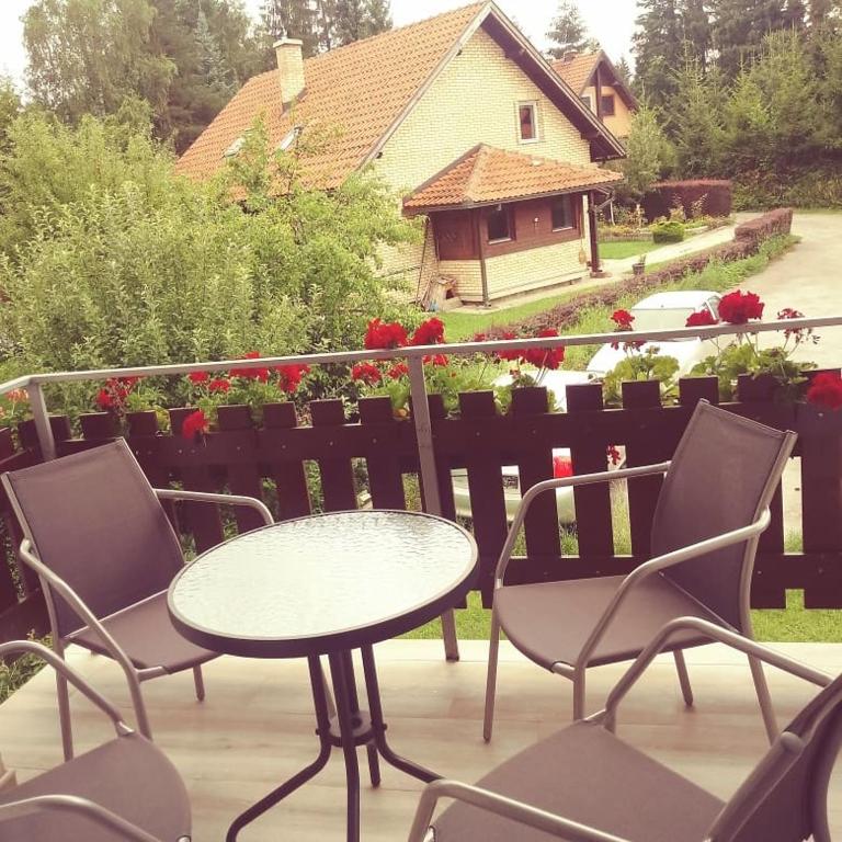Apartments Vila Velickovic - One-Bedroom Apartment - 38
