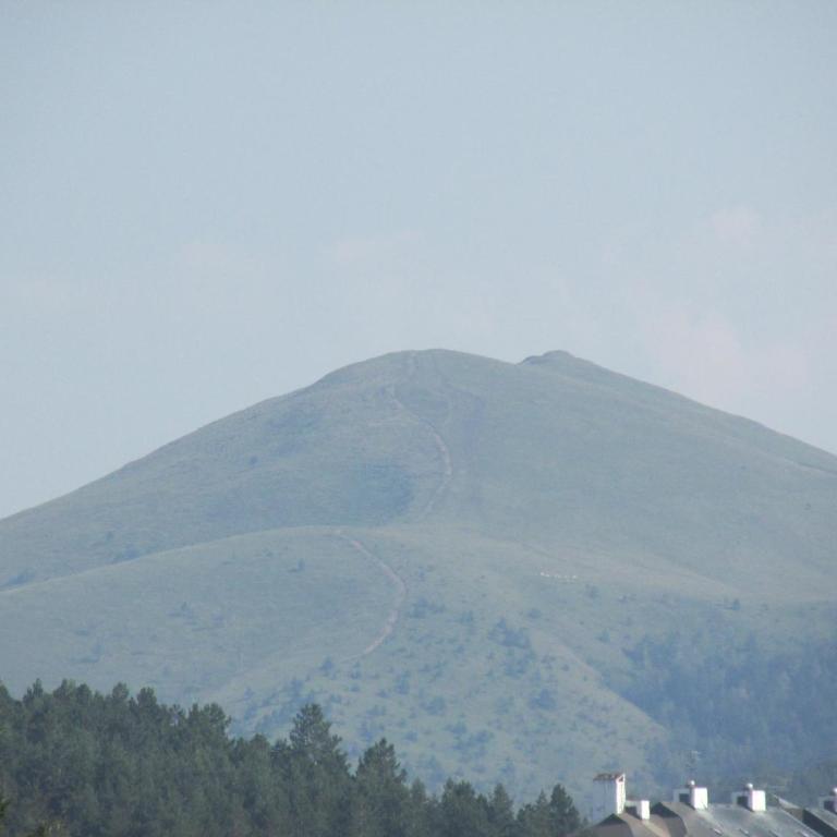 Apartmani KNEŽEVIĆ - Apartment with Mountain View - 11