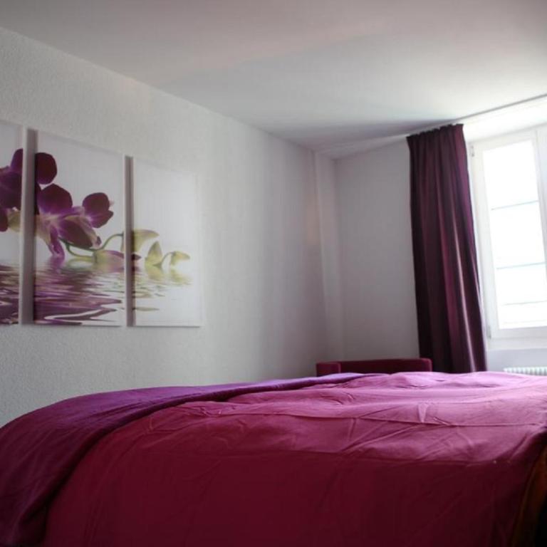 Swiss Interlaken Apartment - Apartment - 19