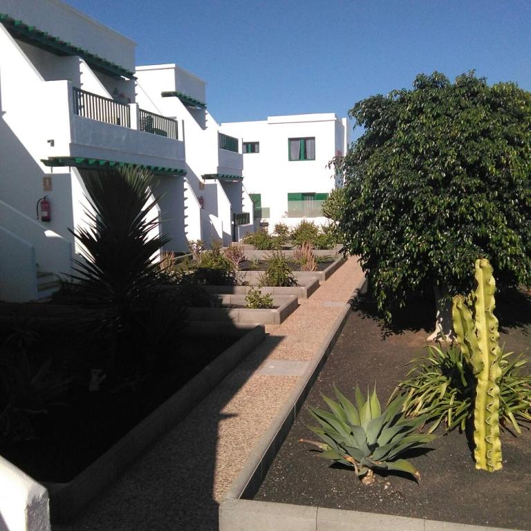 Las Mimosas - Apartamento - Planta baja - 12