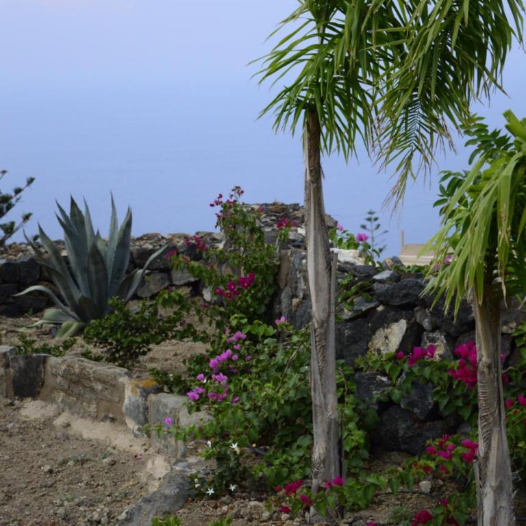 kammamia - One-Bedroom Apartment with Sea View and Terrace - 10
