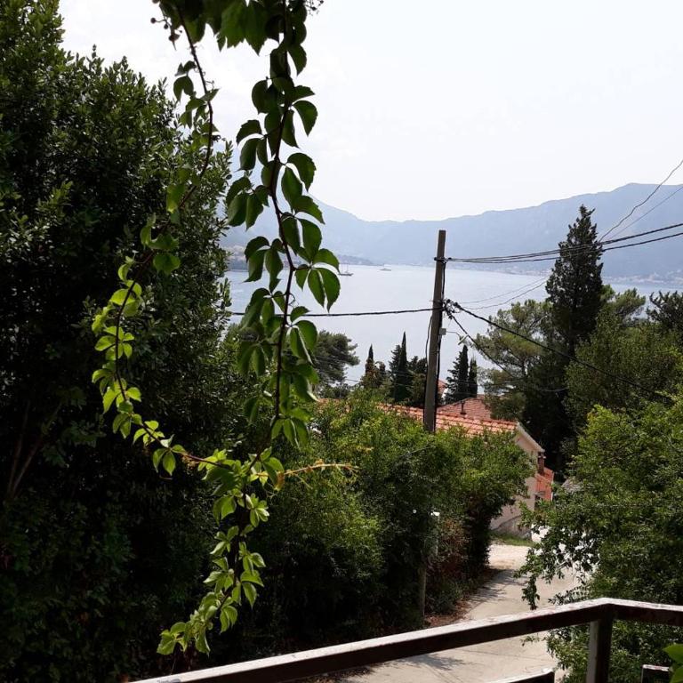 Apartments Vukotic - Apartman sa Pogledom na Vrt - 7