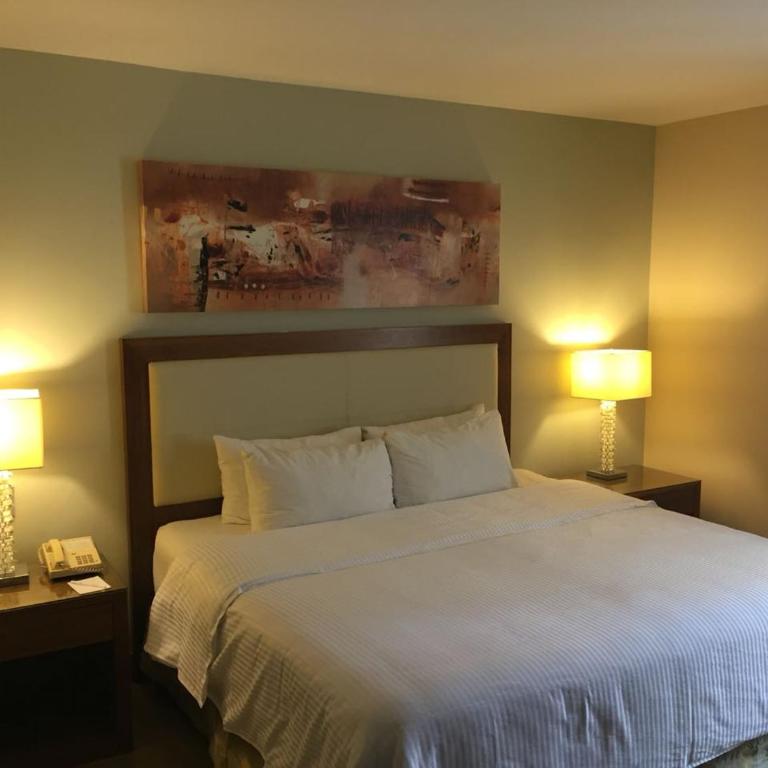 Antaris Valle - Superior King Room - 3