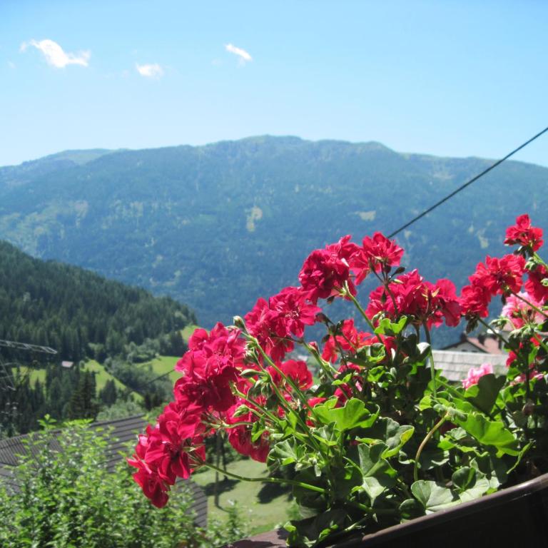 Chalet Catton Two Bedroom Appartement near Bad Kleinkirchheim - Apartment mit 2 Schlafzimmern - 1