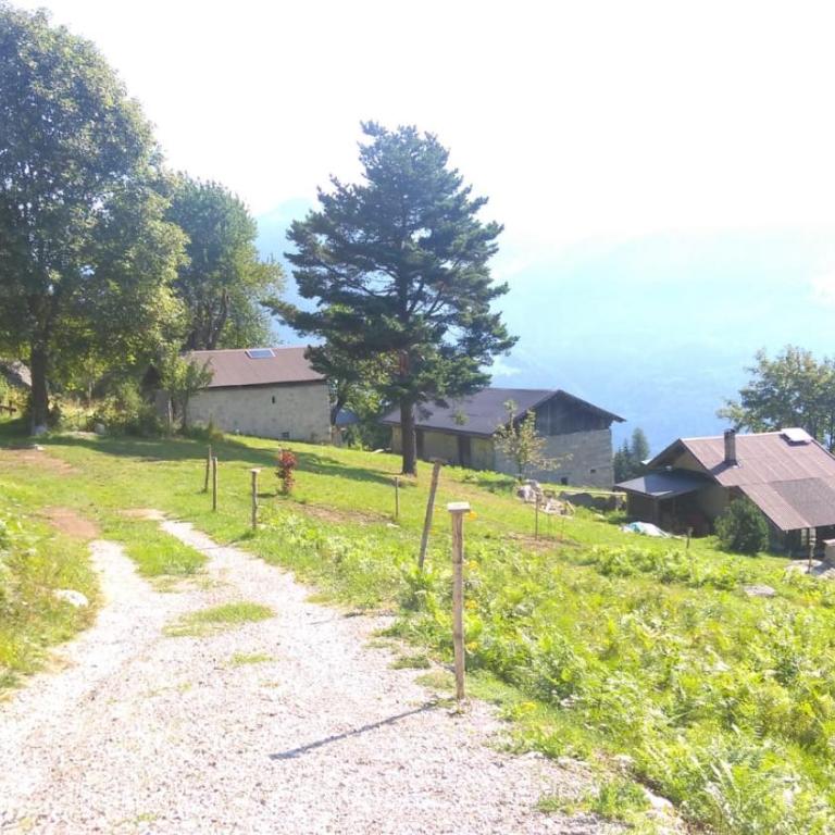 Baita Martin da Fist - Chalet - 21