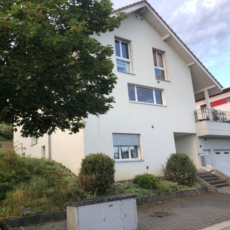 Charming Studio near Rotsee Lucerne Kitchen, WiFi, Washing machine - Apartment - 11