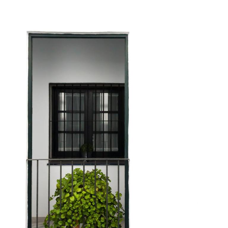 San Eloy Dream Apartment by Valcambre - Apartment - 40
