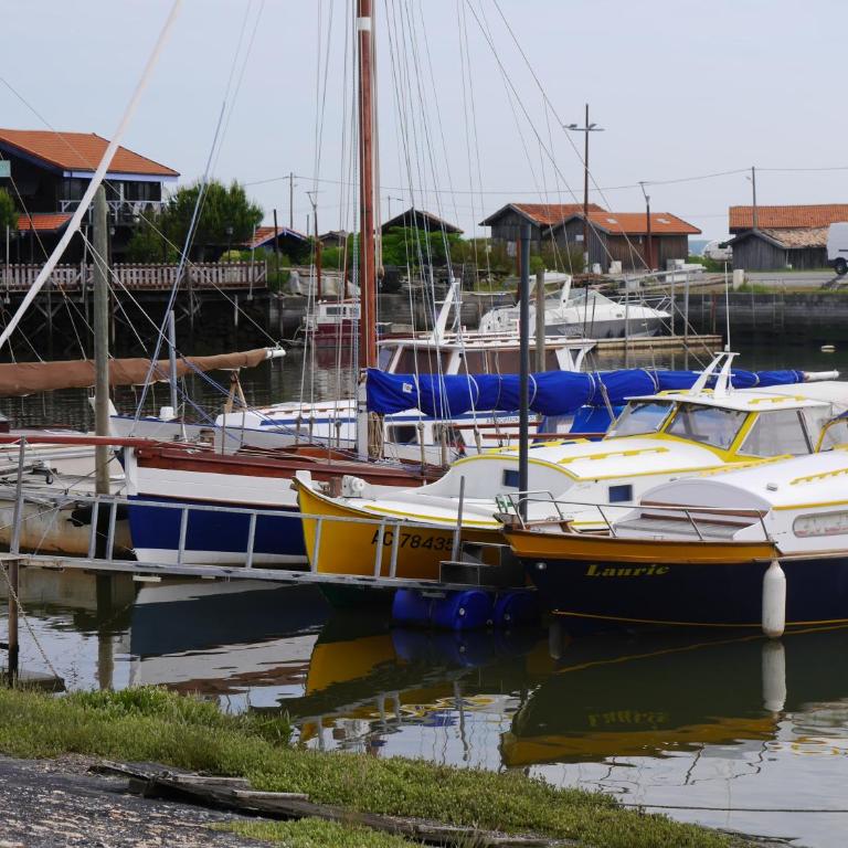 Au cœur du Bassin d'Arcachon - Appartement - 43