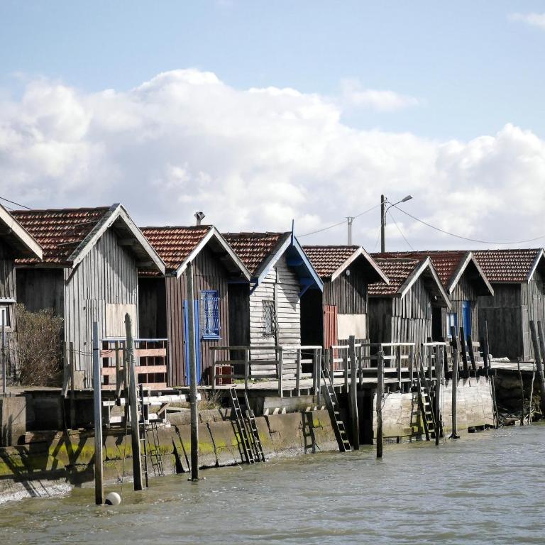 Au cœur du Bassin d'Arcachon - Appartement - 45