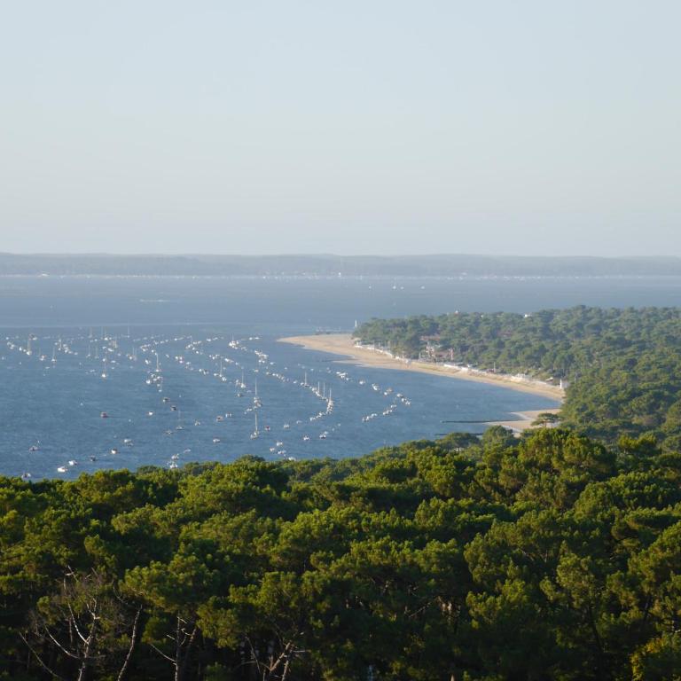 Au cœur du Bassin d'Arcachon - Appartement - 47