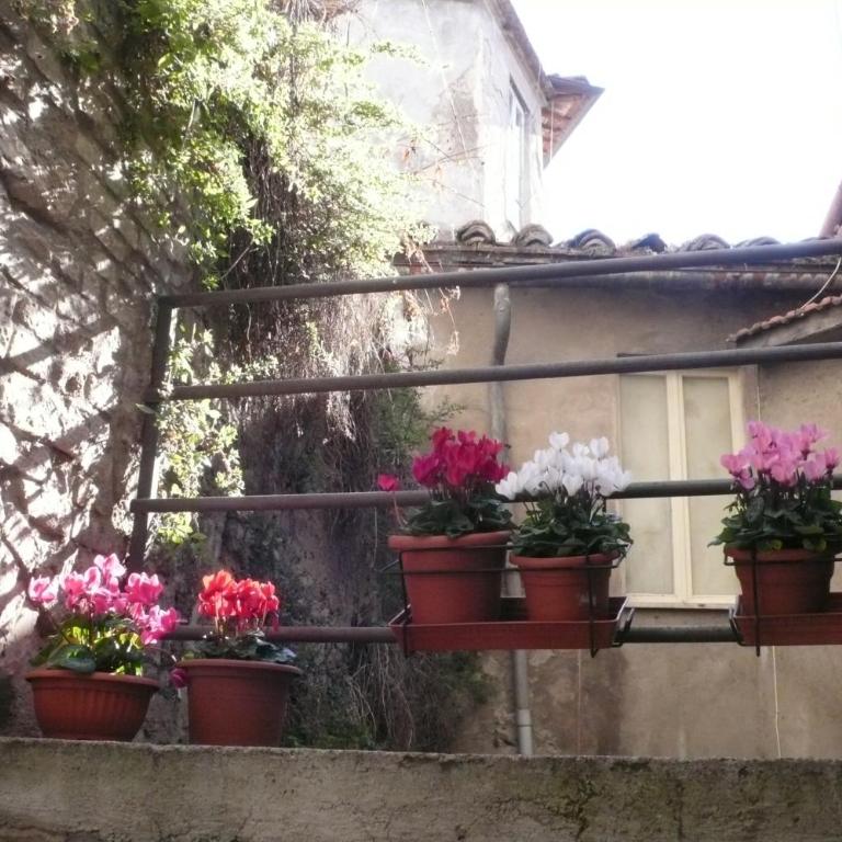 Le Camere di Casa Cassandra - Appartamento Superior - 6