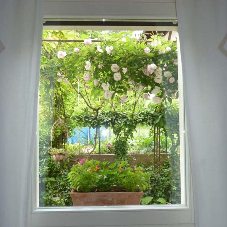 Haus Rogger - Appartamento con Vista Giardino - 7