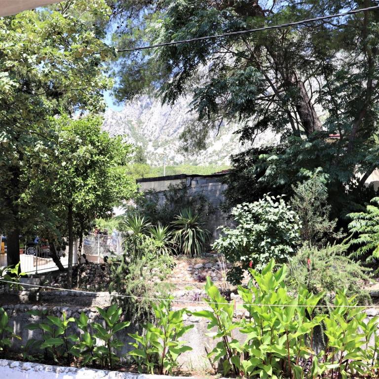 Lemon tree villa - Four-Bedroom House - 24