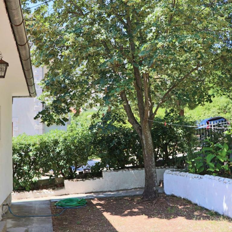 Lemon tree villa - Four-Bedroom House - 26