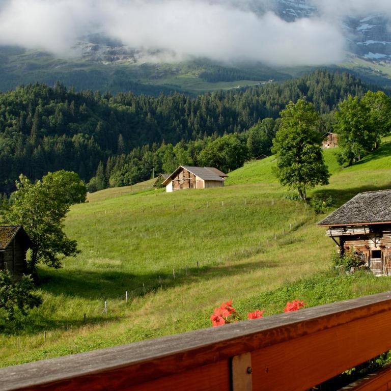 Aspen Alpine Lifestyle Hotel - Superior Doppelzimmer mit Balkon und Bergblick - 1