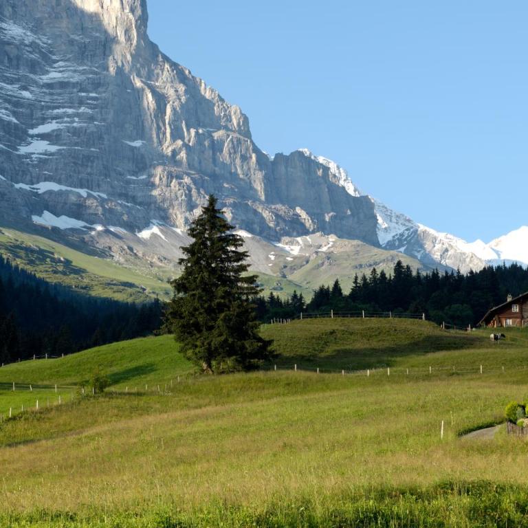 Aspen Alpine Lifestyle Hotel - Standard Doppelzimmer - 1