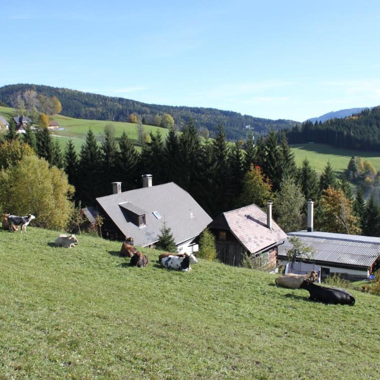 Ferienhaus Pliescherhof - Ferienhaus - 31