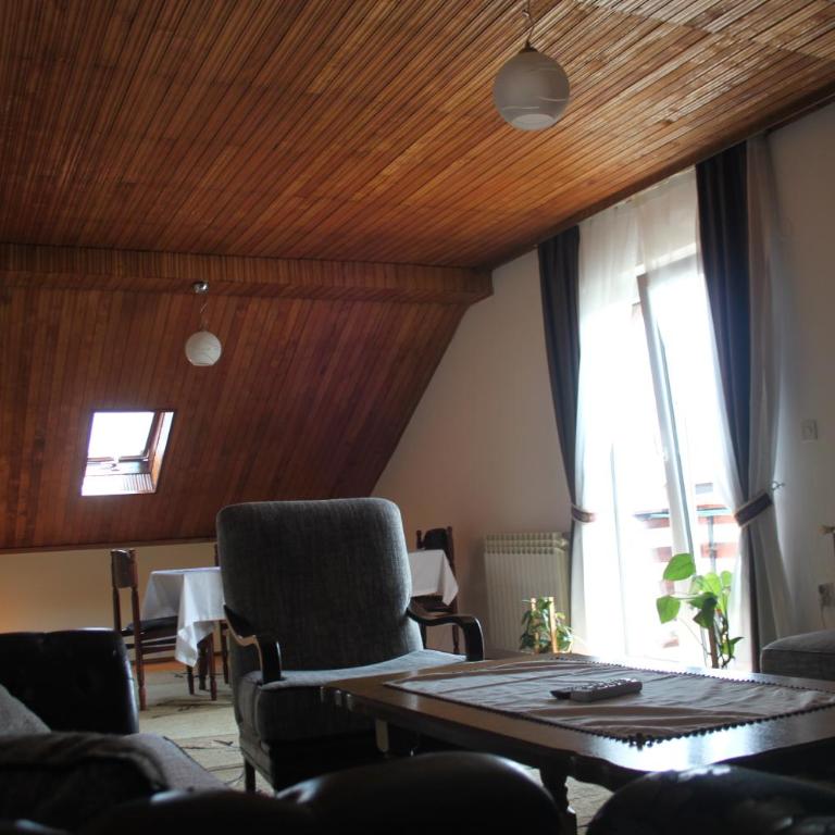 Apartmani Pale - Apartment with Mountain View - 5