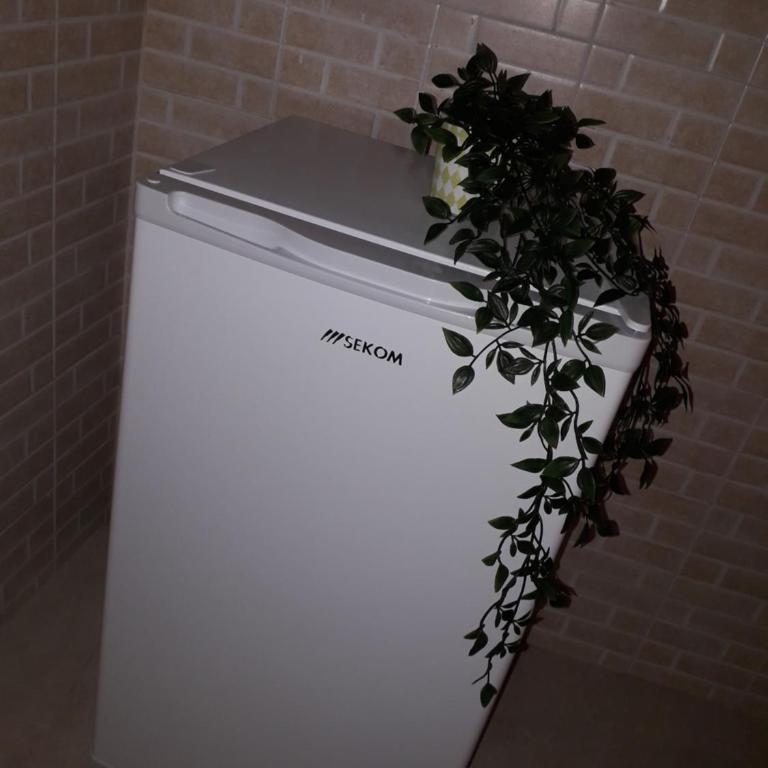 Filioli Apartment - Appartamento - Piano Terra - 37