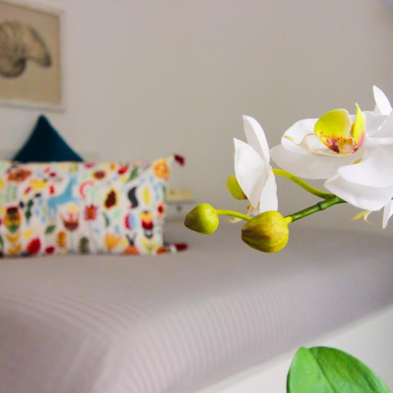 Le Casette di Marcì - Casa con 1 Camera da Letto - 1