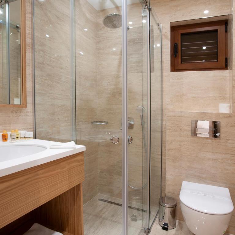 Hotel Villa Gracia - Standardna Dvokrevetna Soba sa Bračnim Krevetom/Zasebnim Krevetima - 6