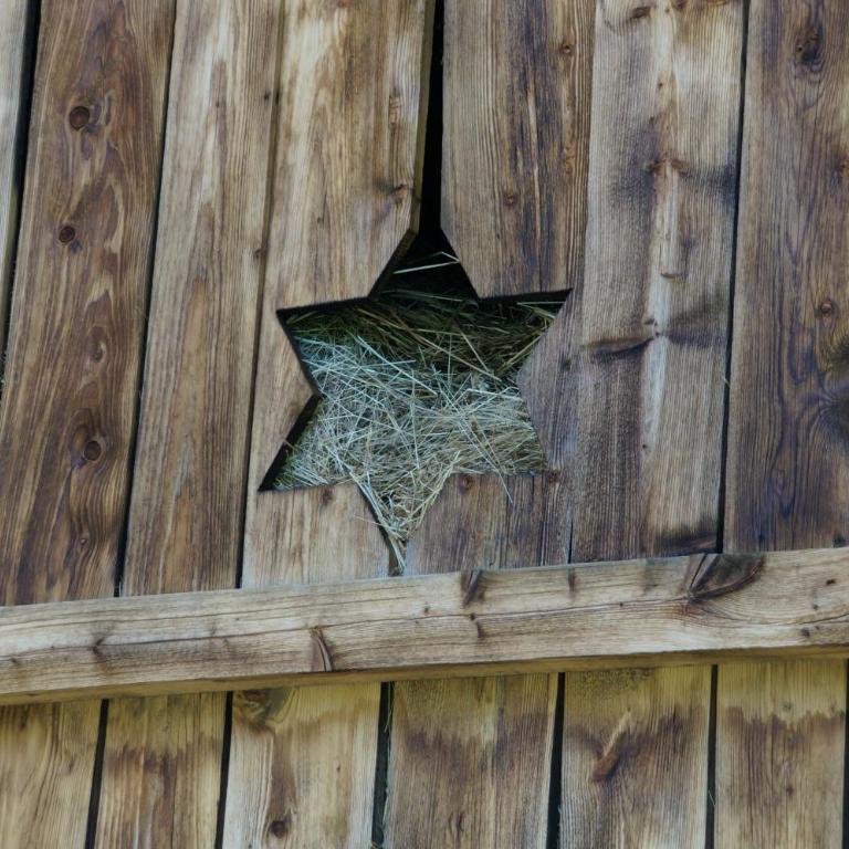 Ferienhaus "Plankschneider" - Ferienhaus - 12