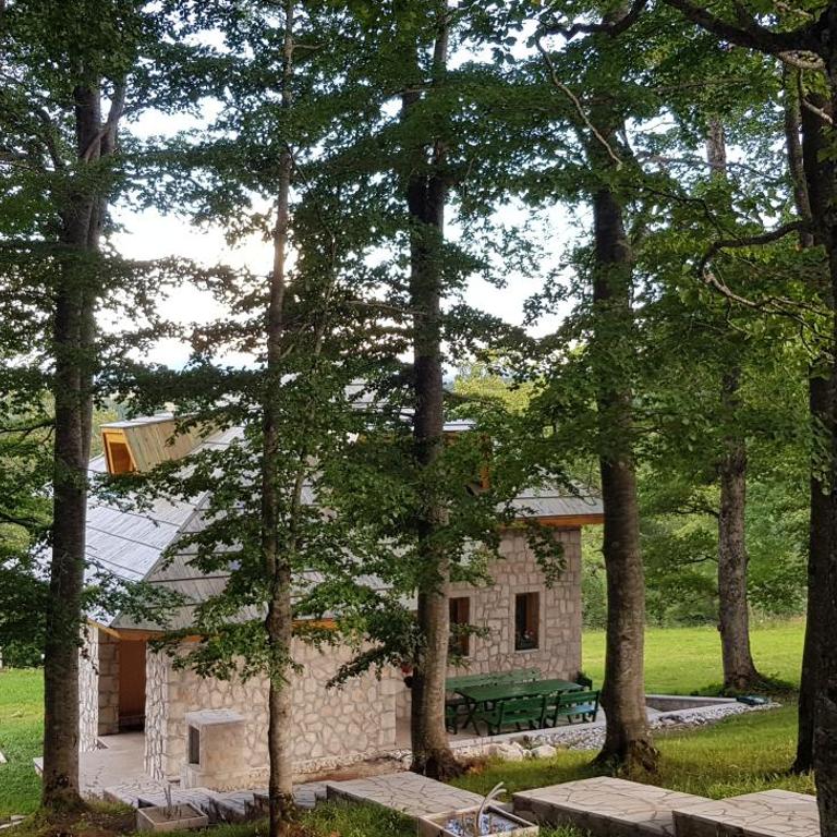 Green Forest - Villa - 2