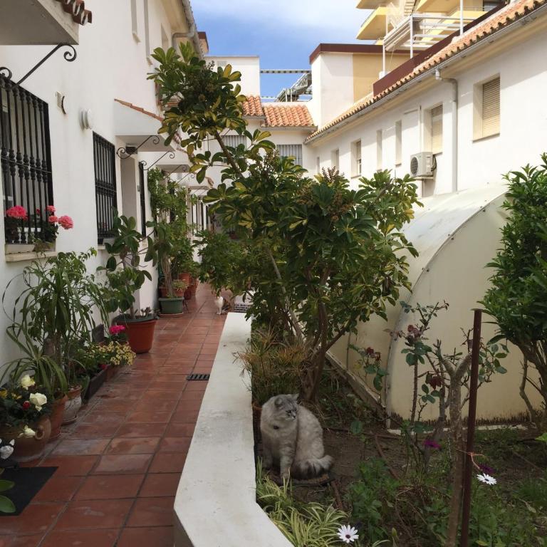 El Cortijuelo. Magnificent triplex terraced house with rooftop of 18m2, overlooking the sea. Parking - Vacation Home - 47