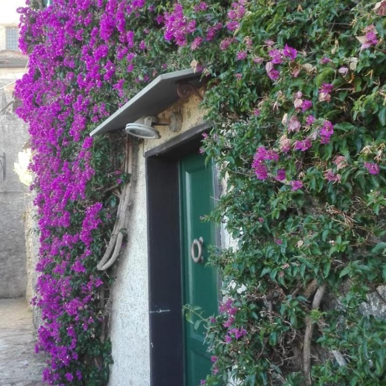 La BouganVilla - Casa Vacanze - 60