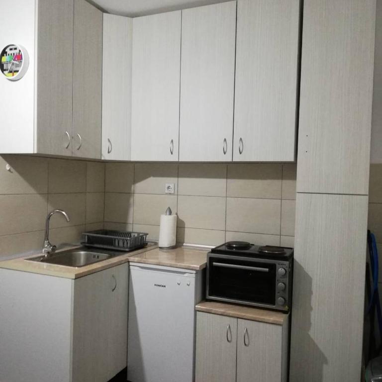 Zabac Sokobanja - Apartment - 11