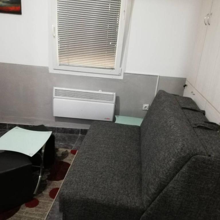 Zabac Sokobanja - Apartment - 6